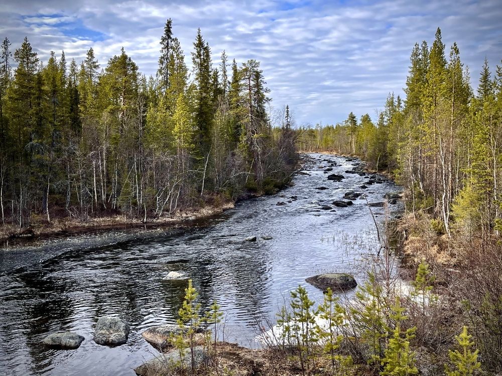 Фотография автора Юлия Шумейко
