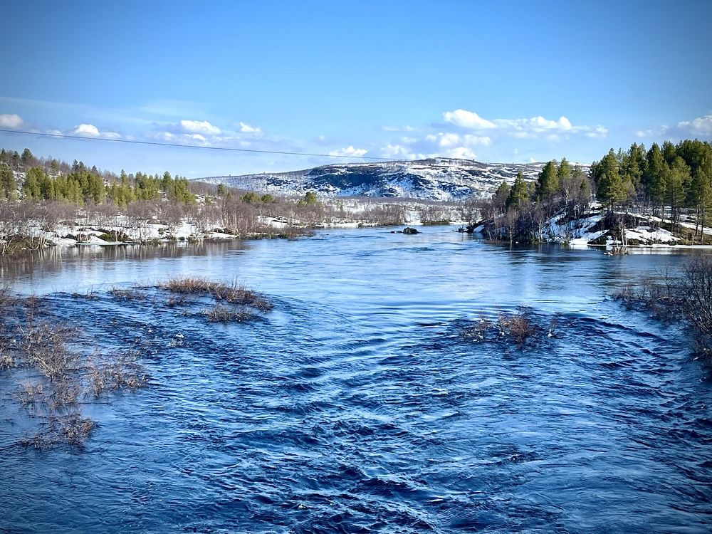 Фотография автора Юлия Шумейко