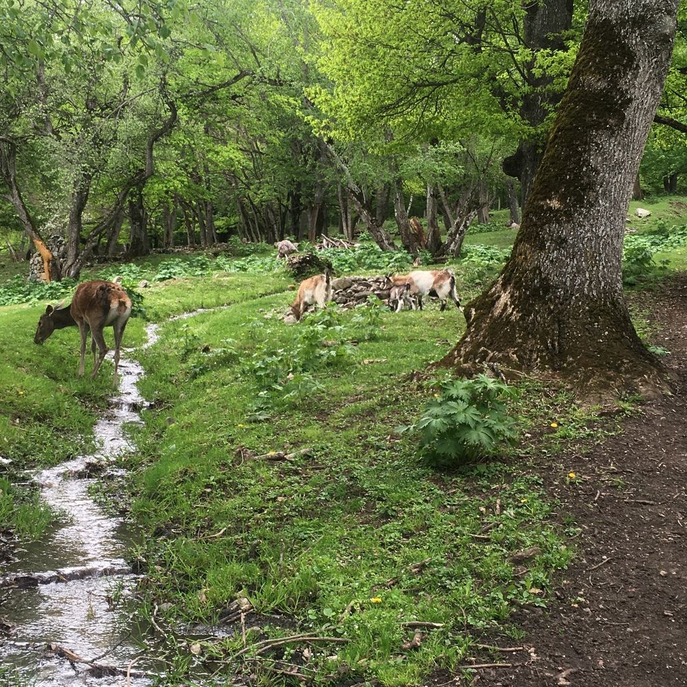 Photograph by Olga Afanaseva