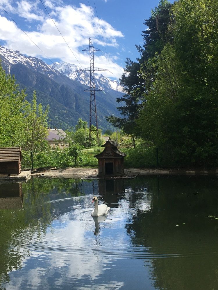 Photograph by Olga Afanaseva