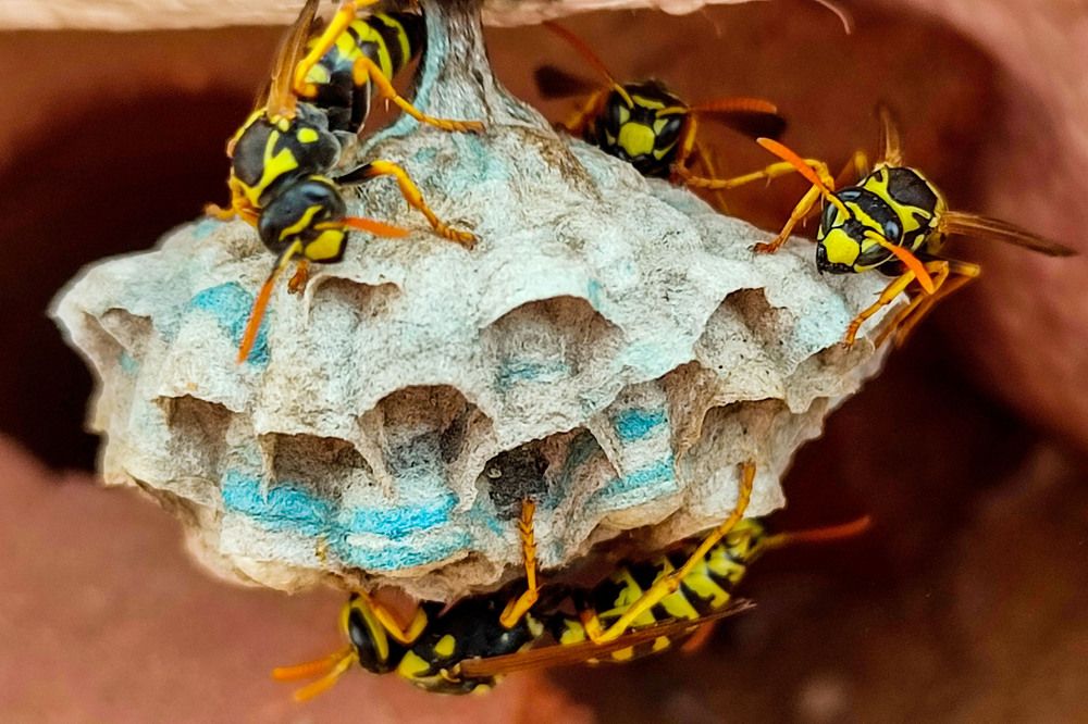 Photograph by Hashem Mohamed