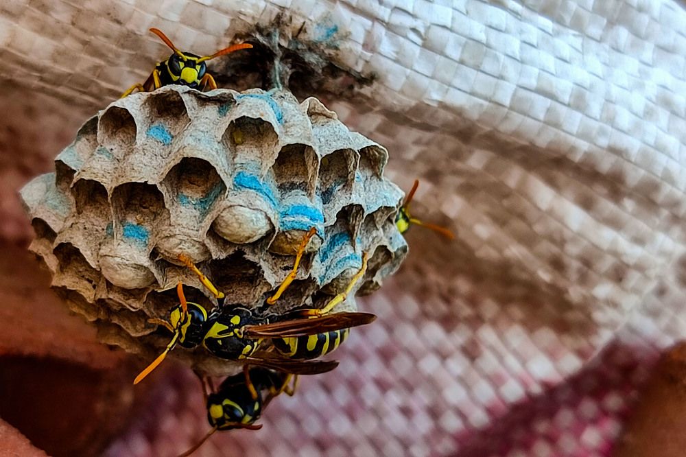 Photograph by Hashem Mohamed