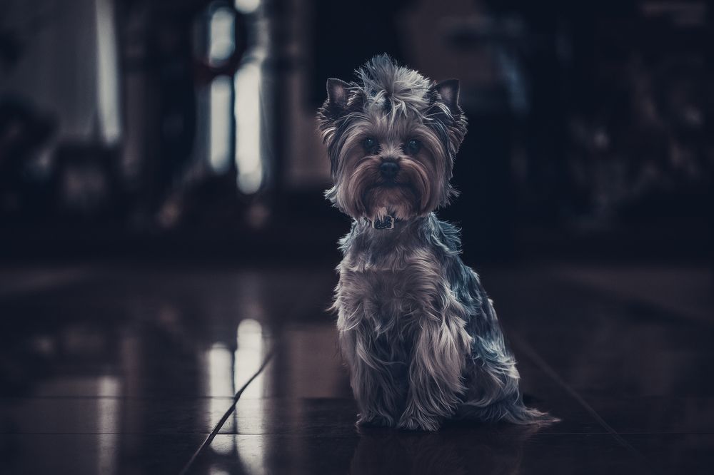 Photograph by Сергей Шпаков