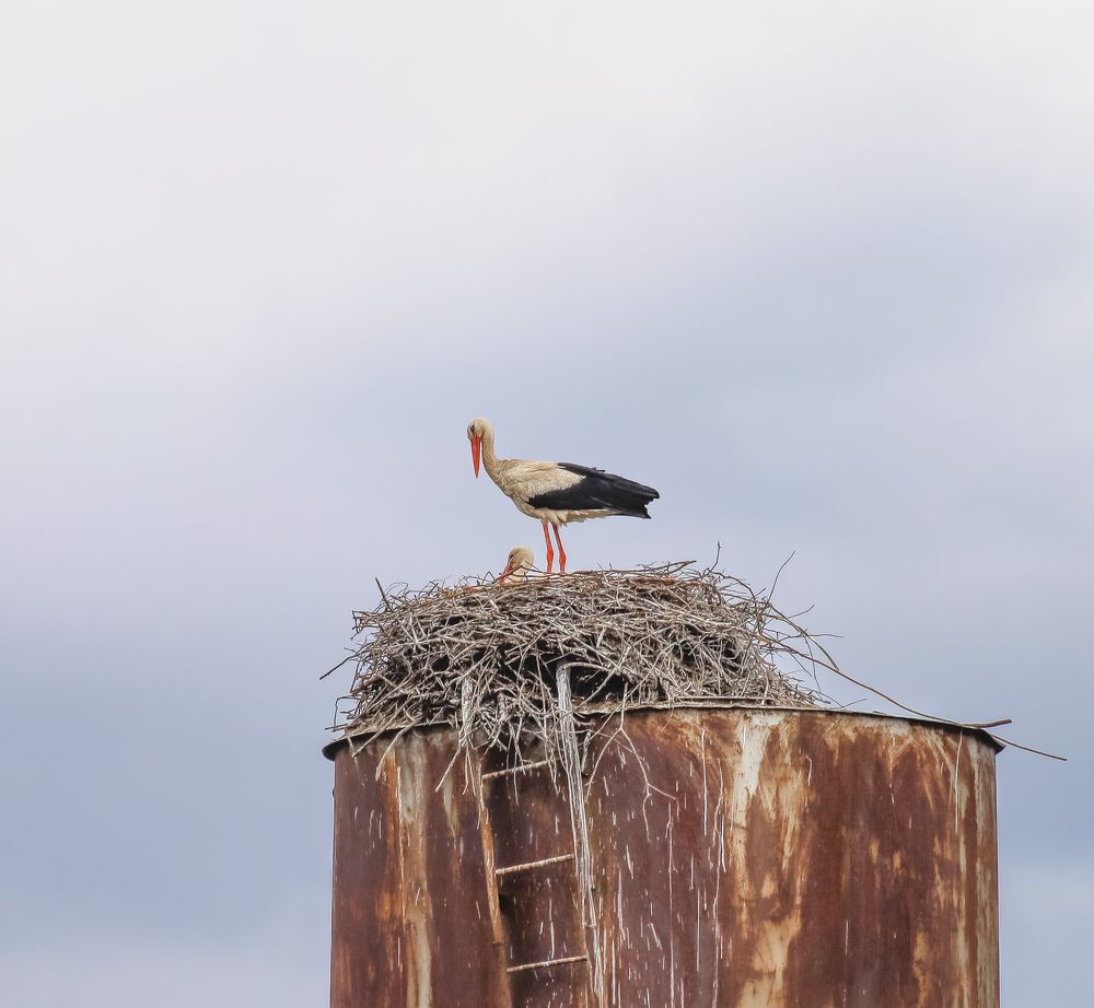 Photograph by Паша Савельев