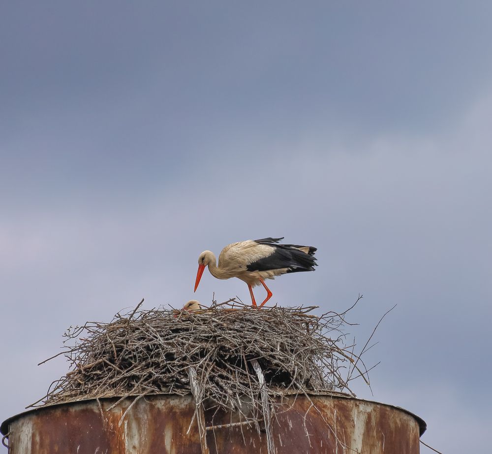 Photograph by Паша Савельев