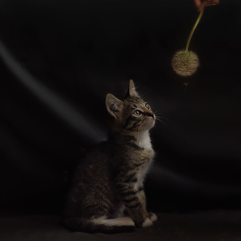 Photograph by Анна Сапрунова