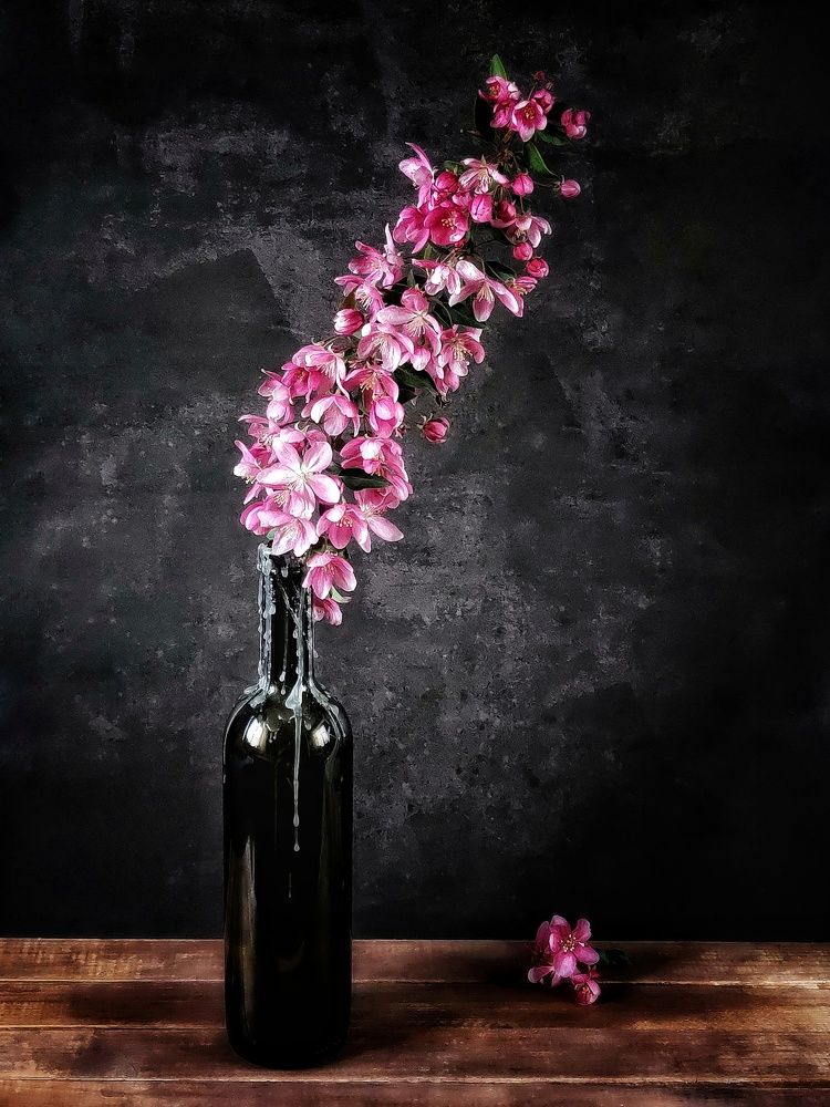 Фотография автора Ольга Игуменова