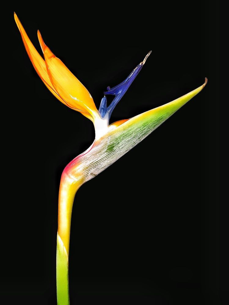 Photograph by Ирина Килина