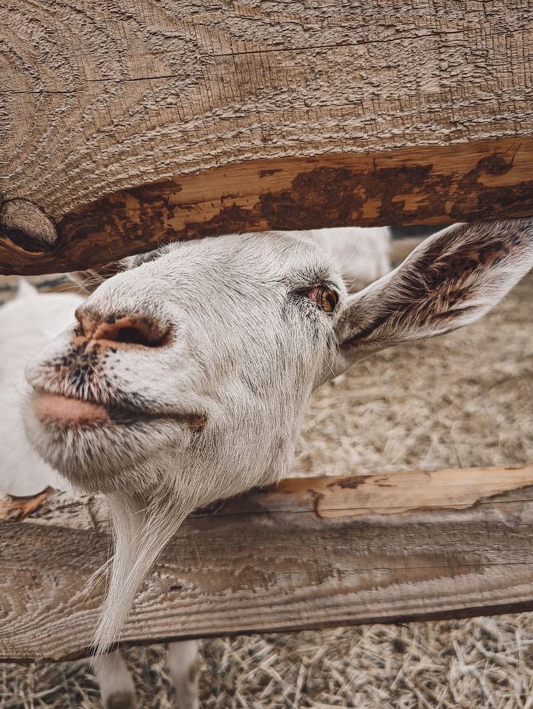 Photograph by Виктория Селютина