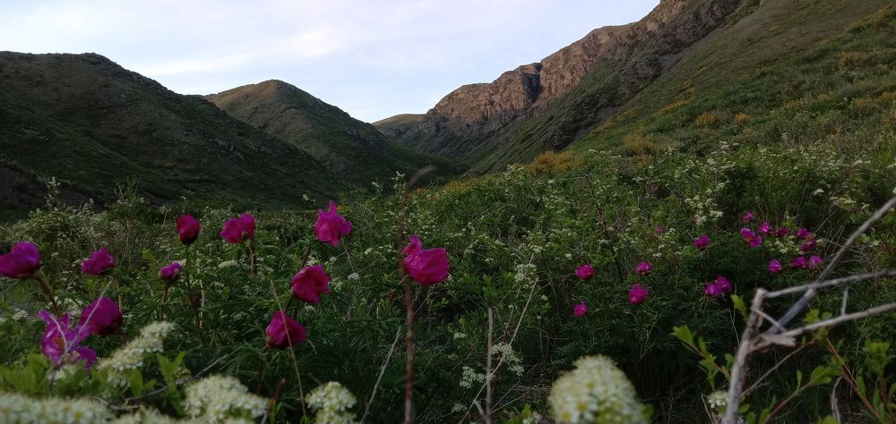Фотография автора Сергей Ляшко