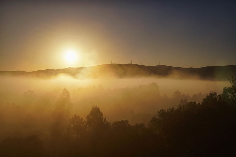 Photograph by Mário C.