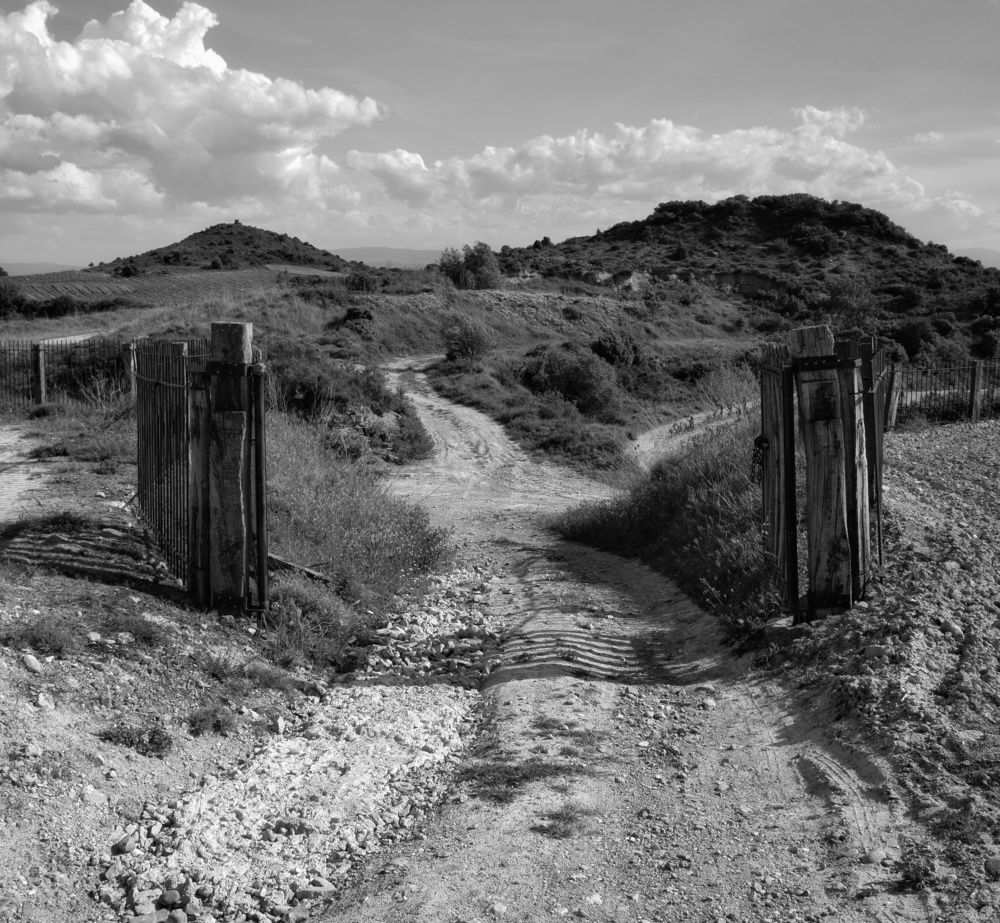 Photograph by José Ramón Domínguez