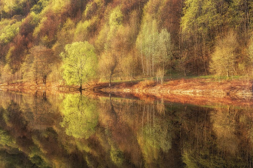 Photograph by Михаил Харитонычев