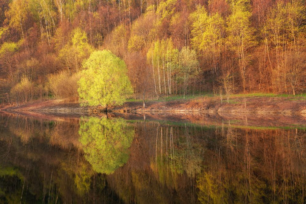 Photograph by Михаил Харитонычев