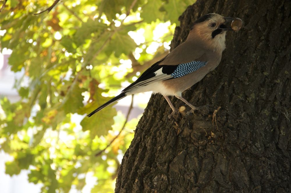 Photograph by Галина Преснякова