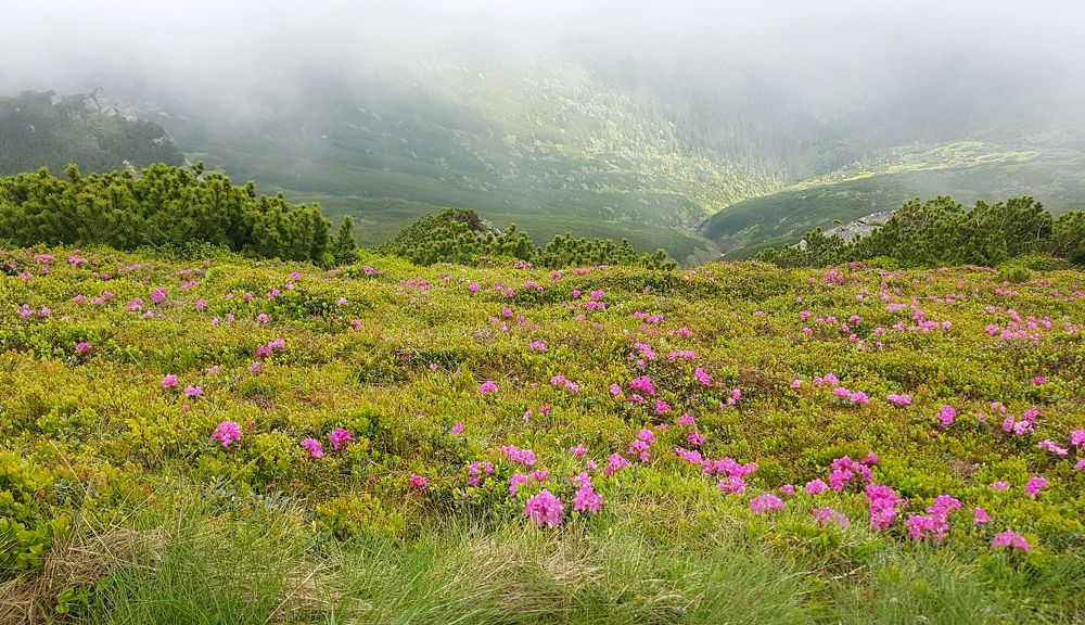 Photograph by Tatiana Kravchuk