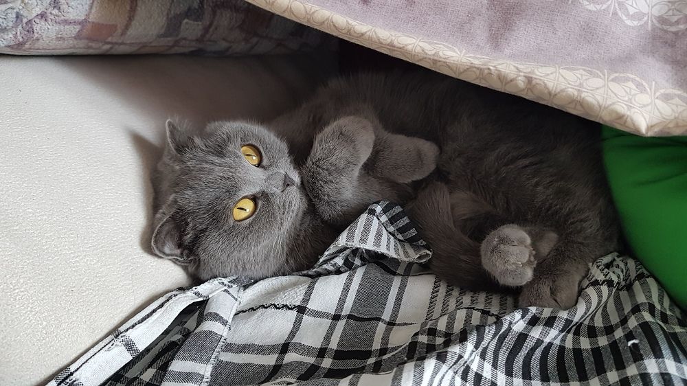 Photograph by Tatiana Kravchuk