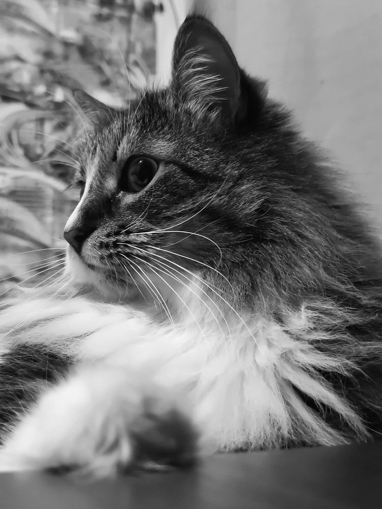 Photograph by Елена Акимова