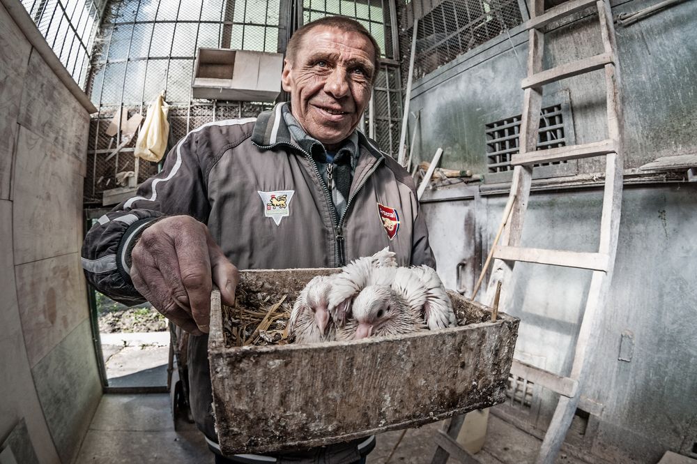 Хозяин голубятни