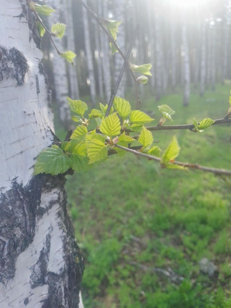 Photograph by татьяна кальницкая