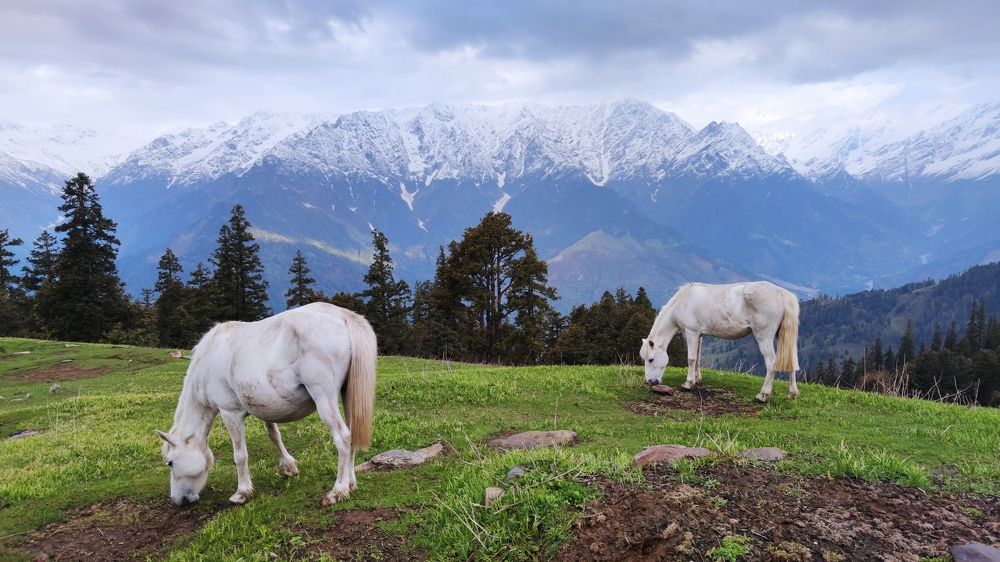 Photograph by Yulian Trip