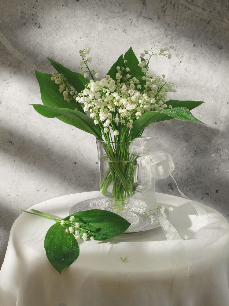 Photograph by Ольга Репина