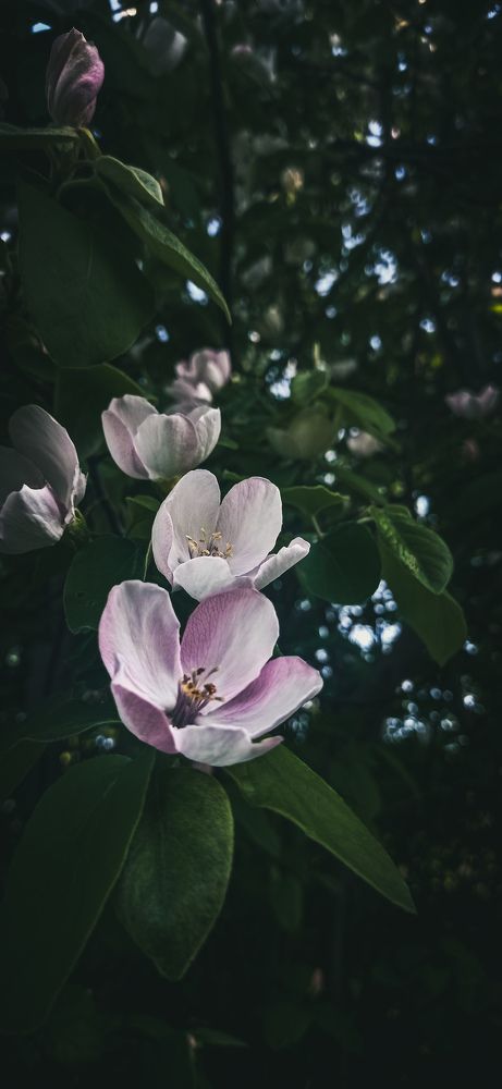 Photograph by Kati Oili