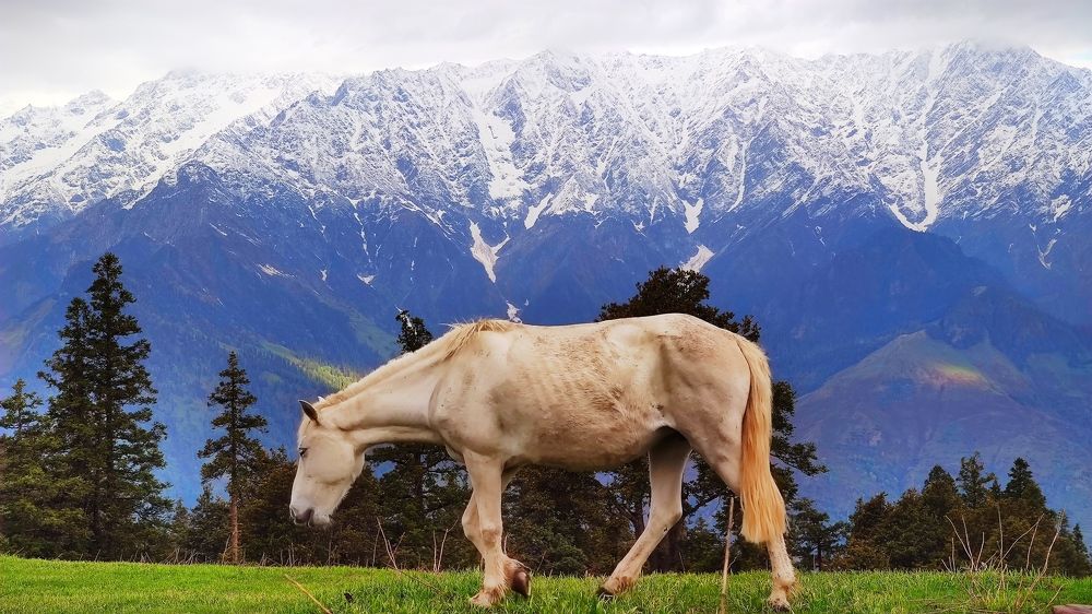 Photograph by Yulian Trip