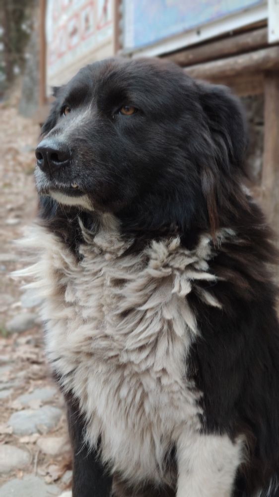 Photograph by Yulian Trip