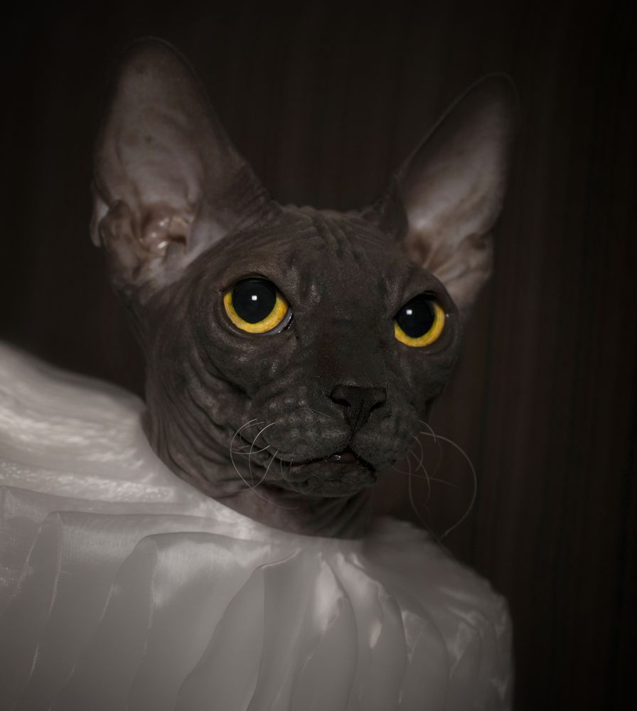 Photograph by Ирина Ефимова