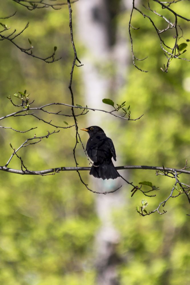 Photograph by Николай Зорин