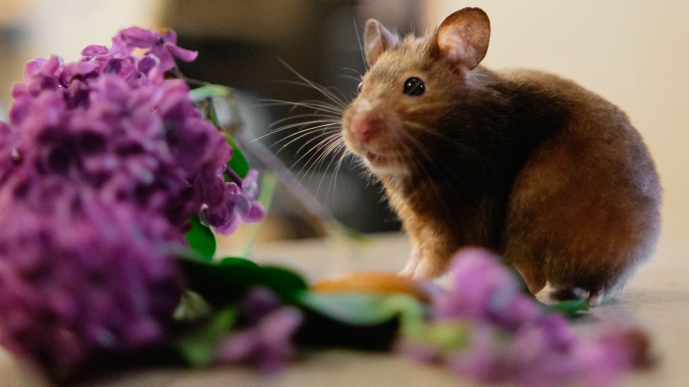 Photograph by Екатерина Кваша