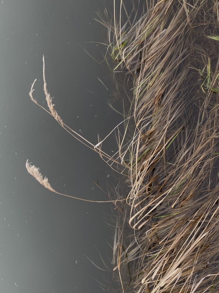 Photograph by Юлия Литвинова