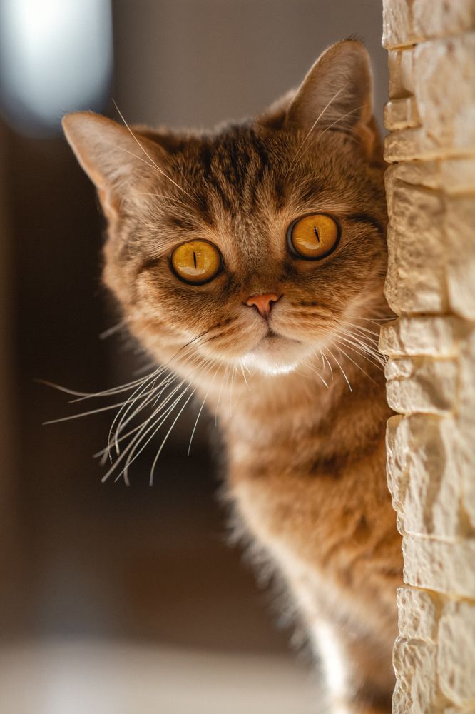 Photograph by Ольга Томилова