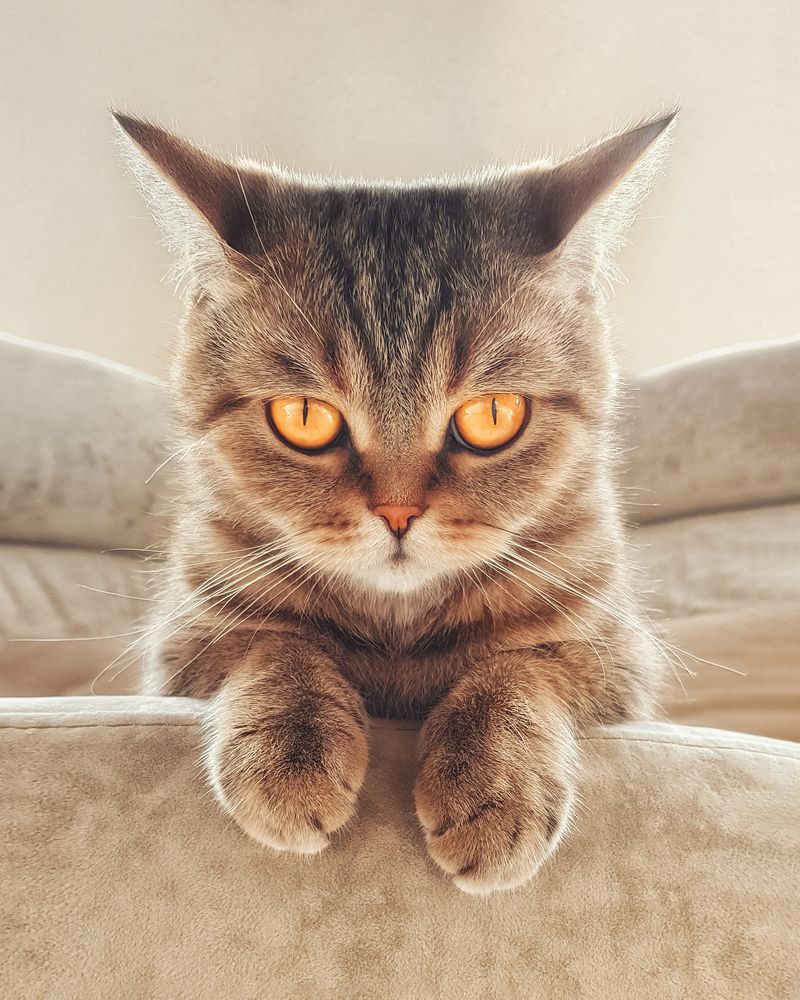 Photograph by Ольга Томилова