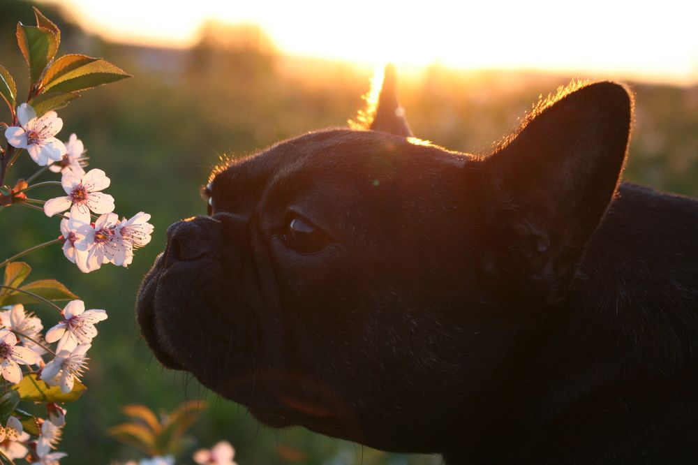 Фотография автора Татьяна Шебаршенко