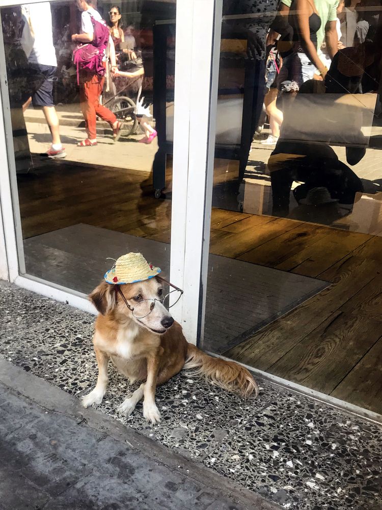 Photograph by SHAHZAD KAZMI