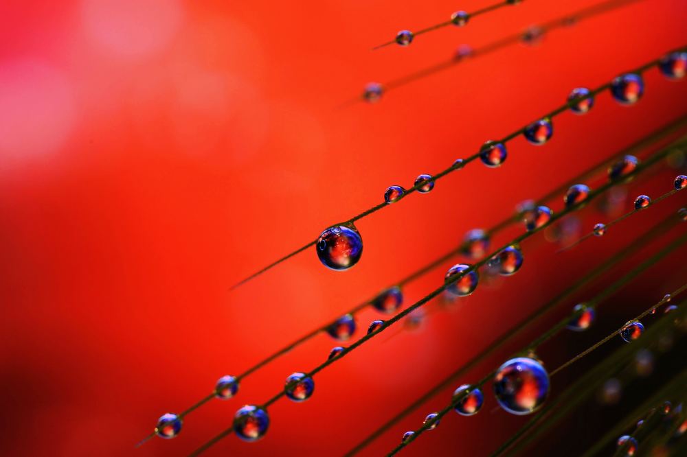 Фотография автора Шакая Виталик