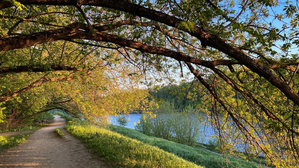 Photograph by Мария Сазонова