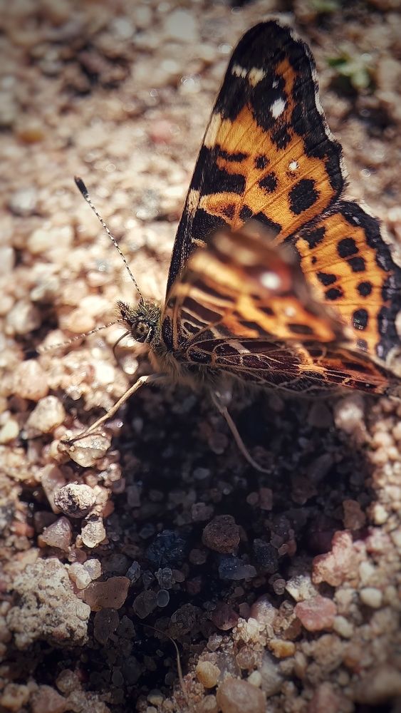 Photograph by Ирина Иванова