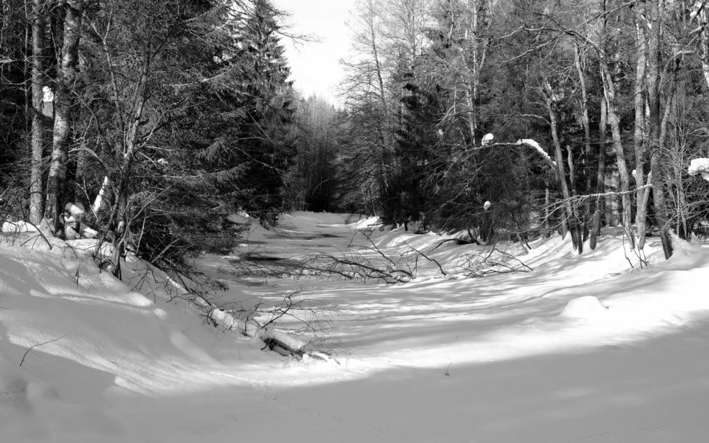 Photograph by елена