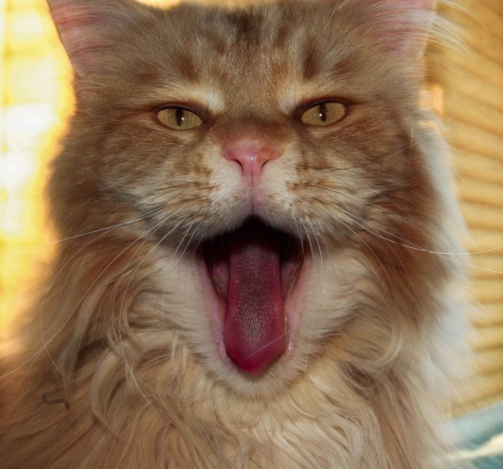 Photograph by Екатерина