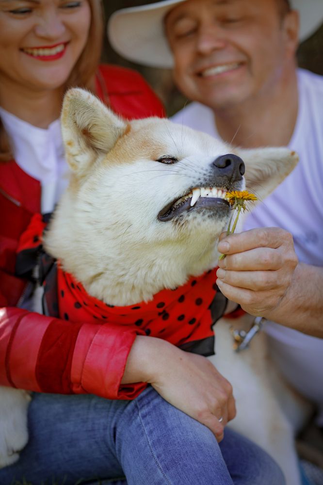 Photograph by Мила Гусева