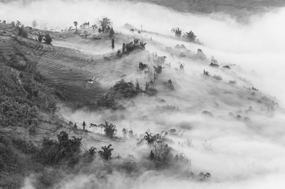 Photograph by Chris Duy