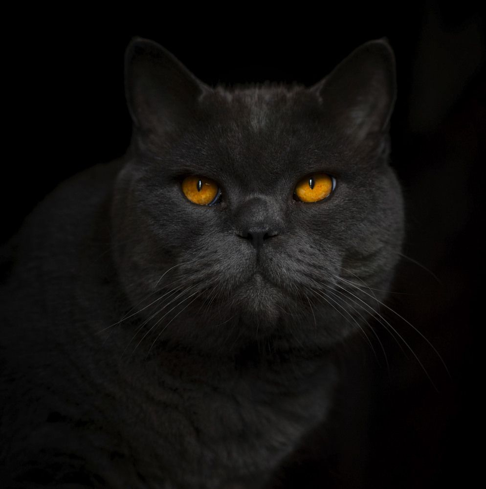 Photograph by Ирина Ефимова