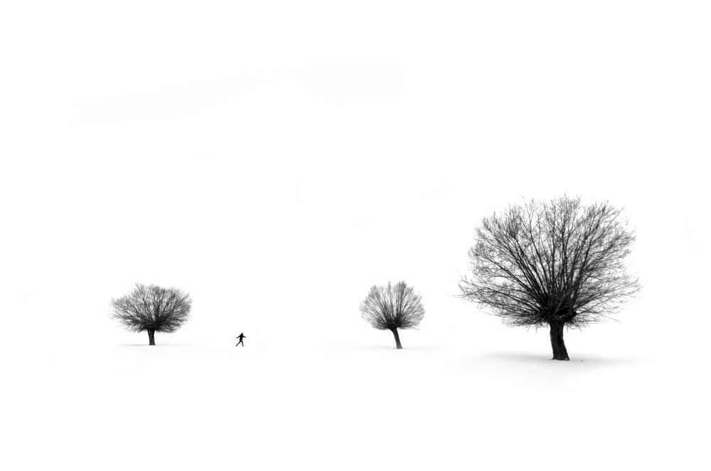 THREE TREES