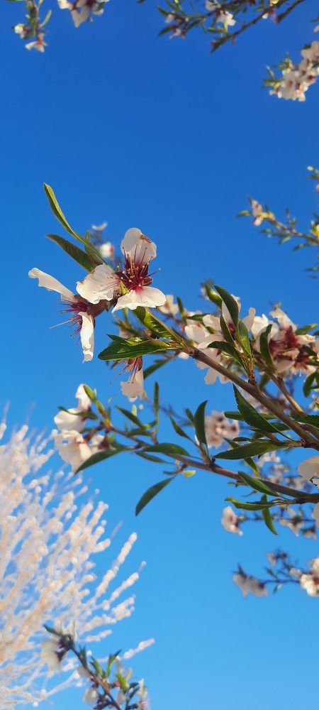 Photograph by amin karimi