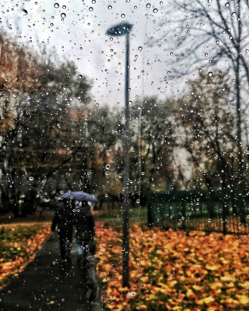Photograph by Лариса Бурова