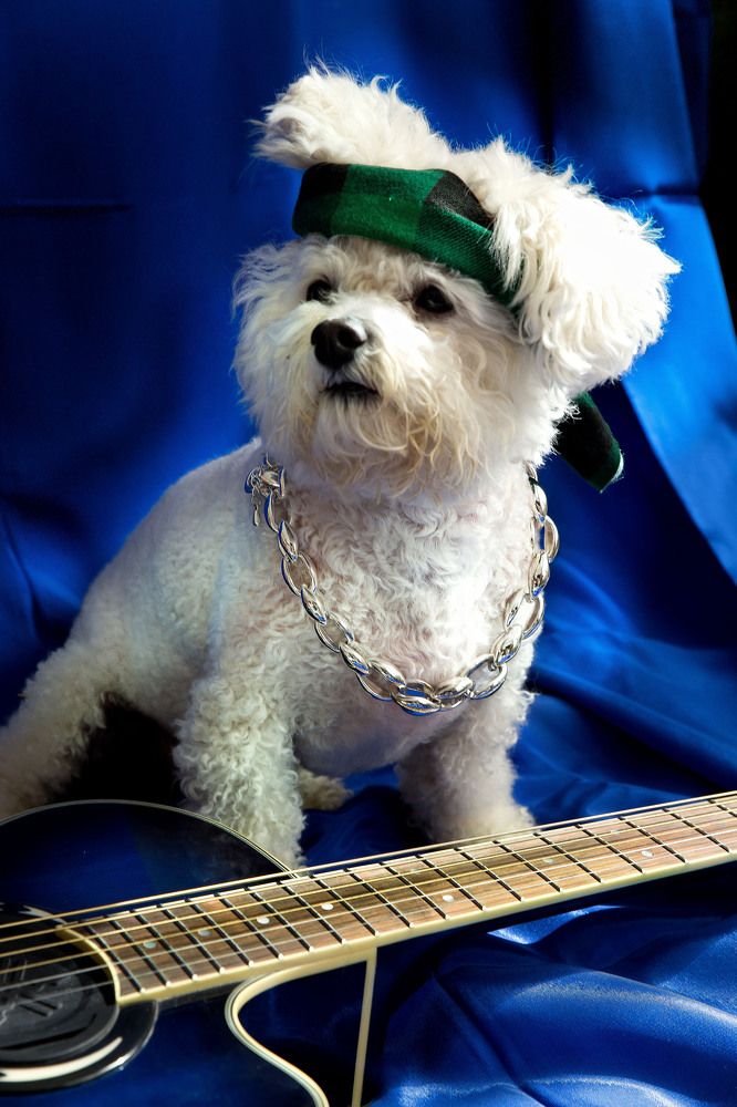 Photograph by Елена Акатьева