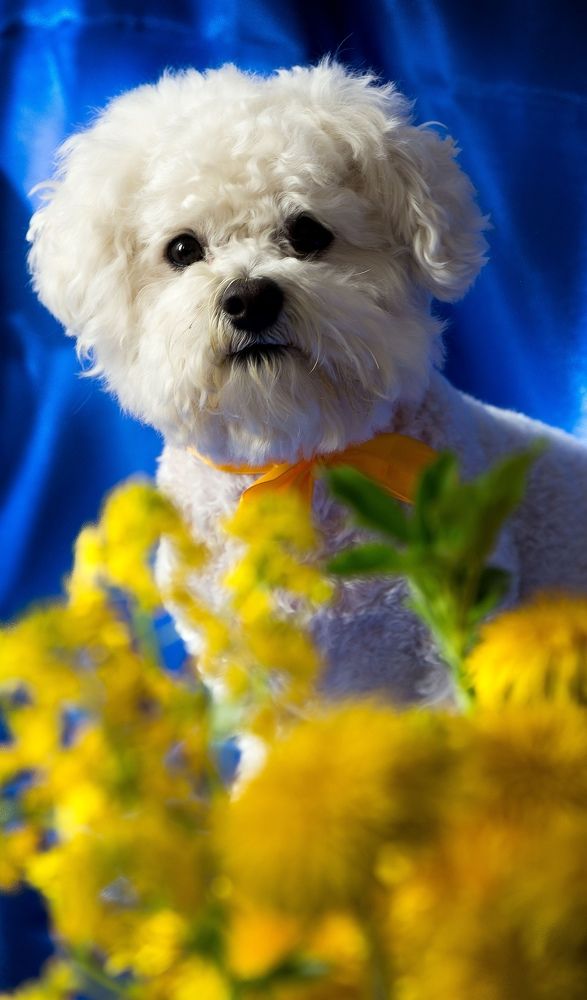 Photograph by Елена Акатьева